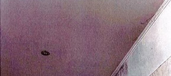 5 rooms Apartment in Genoa, Italy No. 187048 16