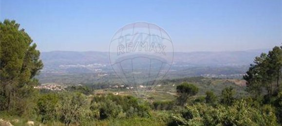 7830m² Land in Senhorim, Portugal No. 51745 3