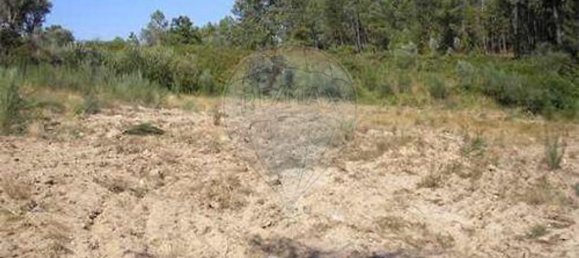 7830m² Land in Senhorim, Portugal No. 51745 5