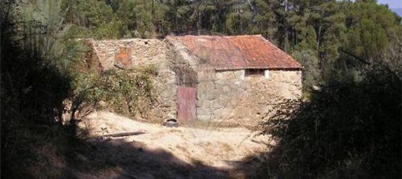 7830m² Land in Senhorim, Portugal No. 51745 2