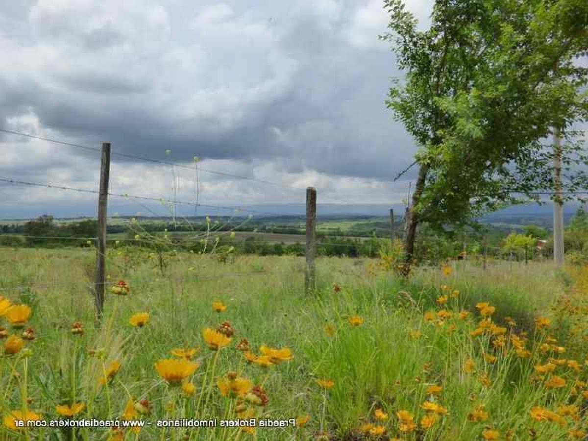  Land in Cordoba, Argentina No. 41053