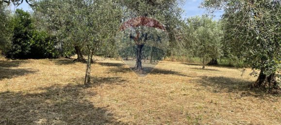 6600m² Land in Moniga del Garda, Italy No. 371648 2