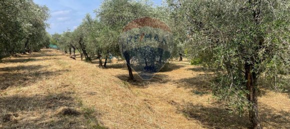 6600m² Land in Moniga del Garda, Italy No. 371648 12