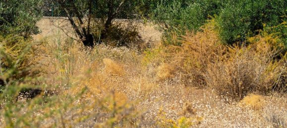 2055m² Land in Loule, Portugal No. 37653 4