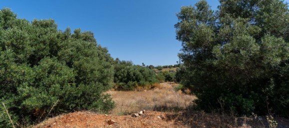 2055m² Land in Loule, Portugal No. 37653 7