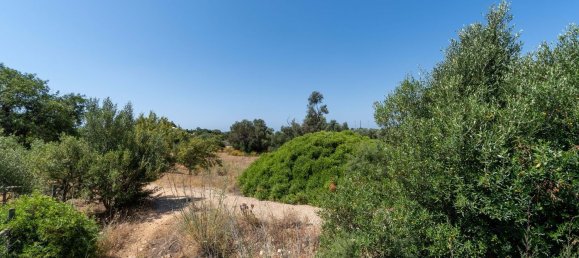 2055m² Land in Loule, Portugal No. 37653 18