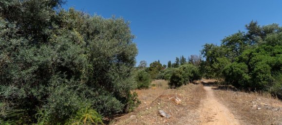 2055m² Land in Loule, Portugal No. 37653 2