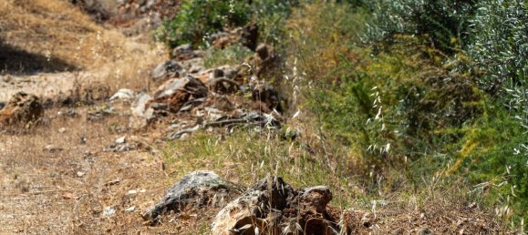 2055m² Land in Loule, Portugal No. 37653 3