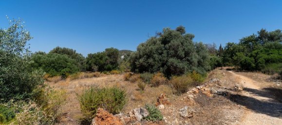 2055m² Land in Loule, Portugal No. 37653 13