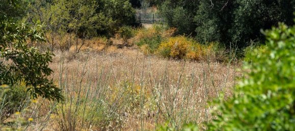 2055m² Land in Loule, Portugal No. 37653 10