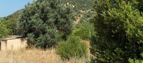 2055m² Land in Loule, Portugal No. 37653 22