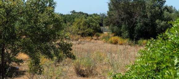 2055m² Land in Loule, Portugal No. 37653 11