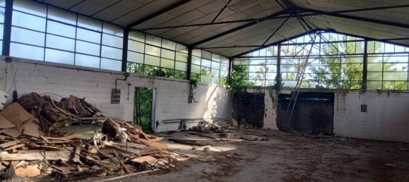 5-salle Entrepôt à Mantua, Italy No. 314656 6