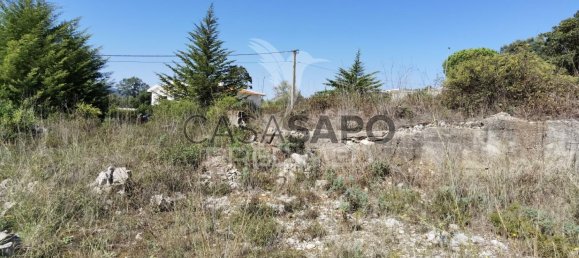 Grundstück in Quarteira, Portugal, Nr. 190592 5