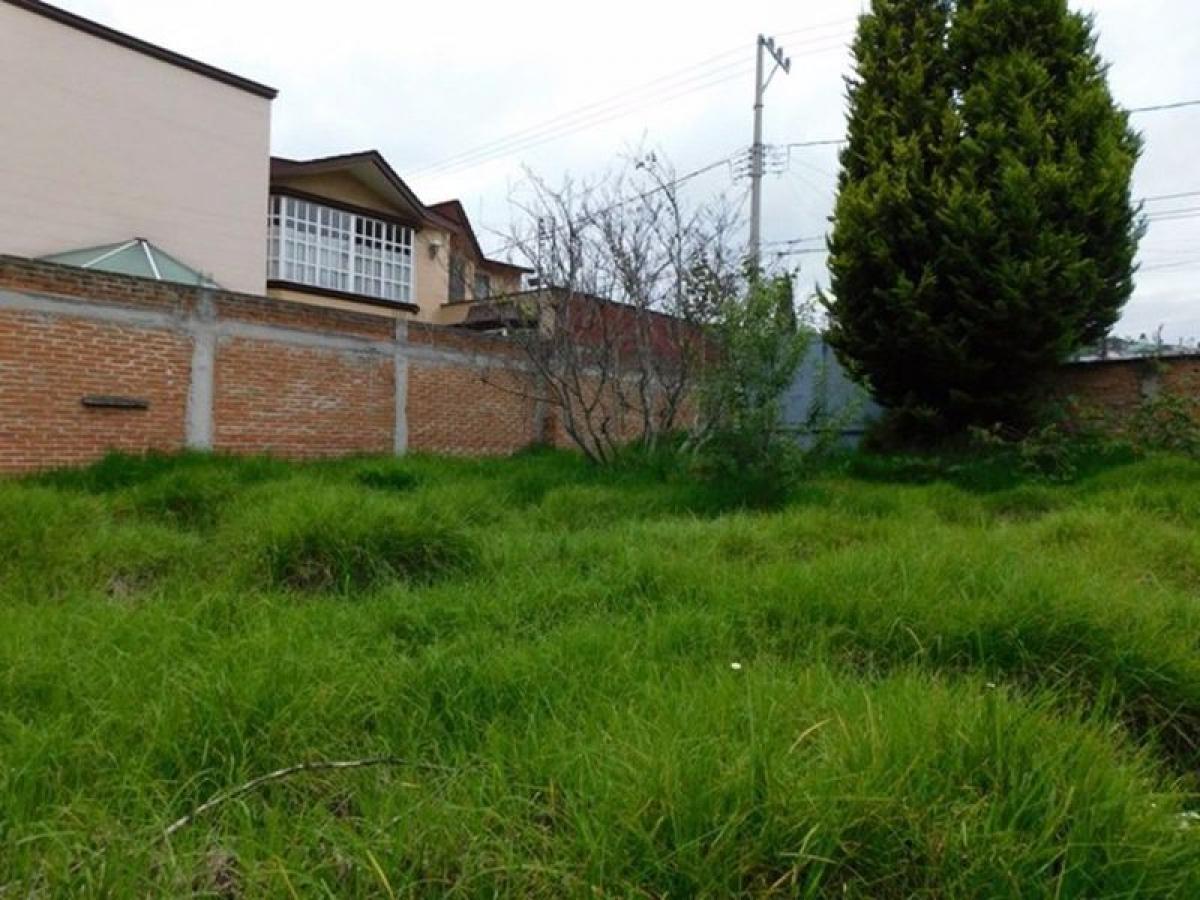 Grundstück in San Buenaventura, Mexico, Nr. 203971