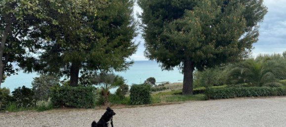 Дом с 4 спальнями в Массиньяно, Италия № 105124 34