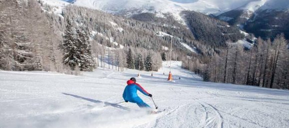 2 bedrooms Apartment in Bad Kleinkirchheim, Austria No. 218850 5