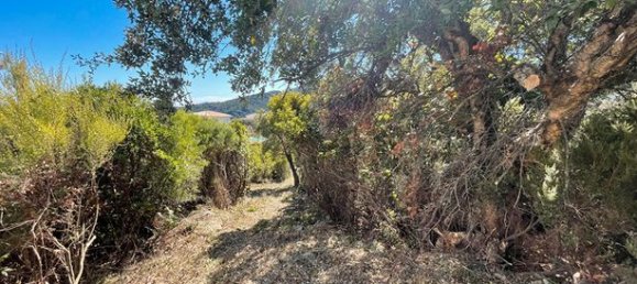 Terreno en Santa-Maria-di-Lota, France 2792 m² No. 358152 11