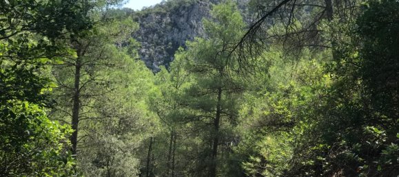 48m² Land in Tarragona, Spain No. 183972 4