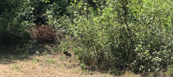 48m² Land in Tarragona, Spain No. 183972 5