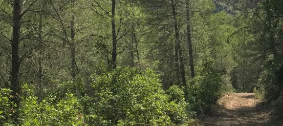 48m² Land in Tarragona, Spain No. 183972 8