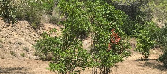 48m² Land in Tarragona, Spain No. 183972 20