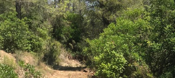48m² Land in Tarragona, Spain No. 183972 16