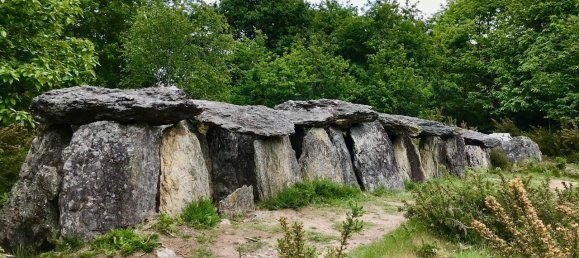 6 Schlafzimmer Gewerbliche Immobilie in Sixt-sur-Aff, France, Nr. 38217 27