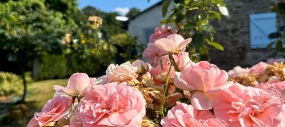 6 Schlafzimmer Gewerbliche Immobilie in Sixt-sur-Aff, France, Nr. 38217 18