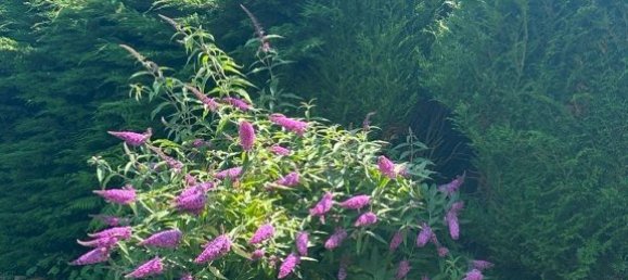 6 Schlafzimmer Gewerbliche Immobilie in Sixt-sur-Aff, France, Nr. 38217 13