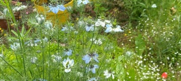 6 Schlafzimmer Gewerbliche Immobilie in Sixt-sur-Aff, France, Nr. 38217 11