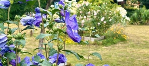 6 Schlafzimmer Gewerbliche Immobilie in Sixt-sur-Aff, France, Nr. 38217 21