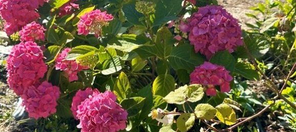 6 Schlafzimmer Gewerbliche Immobilie in Sixt-sur-Aff, France, Nr. 38217 15