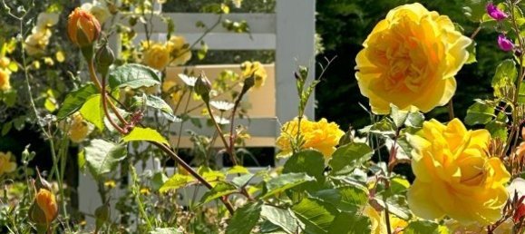 6 Schlafzimmer Gewerbliche Immobilie in Sixt-sur-Aff, France, Nr. 38217 12