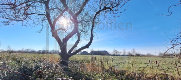 3 غرف نوم منزل في Leer, Germany رقم 16539 3