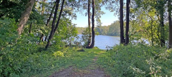 Бунгало с 3 комнатами в Oberhavel, Германия № 335765 3