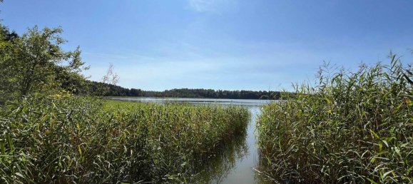 Бунгало с 3 комнатами в Oberhavel, Германия № 335765 4