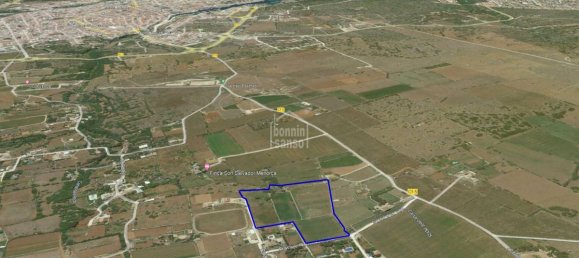 Grundstück in Ciutadella De Menorca, Spain, Nr. 3801 2