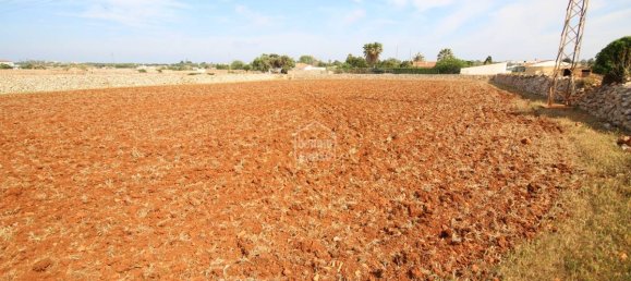 Grundstück in Ciutadella De Menorca, Spain, Nr. 3801 7