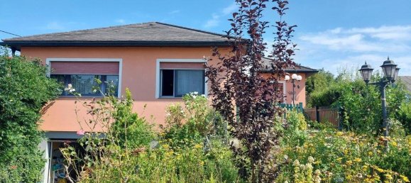 5 rooms Bungalow in Enzesfeld-Lindabrunn, Austria No. 132321 65