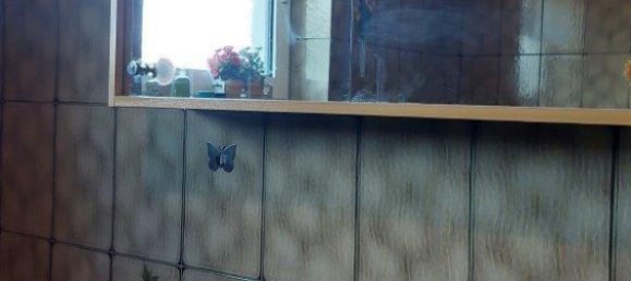 5 rooms Bungalow in Enzesfeld-Lindabrunn, Austria No. 132321 19