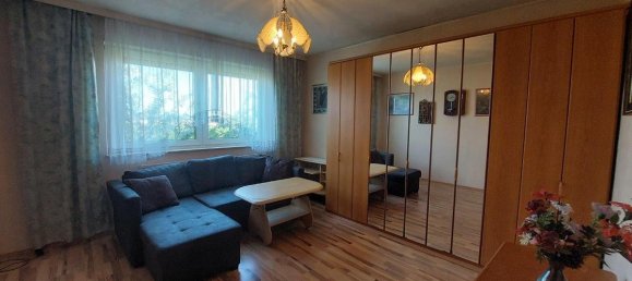 5 rooms Bungalow in Enzesfeld-Lindabrunn, Austria No. 132321 12