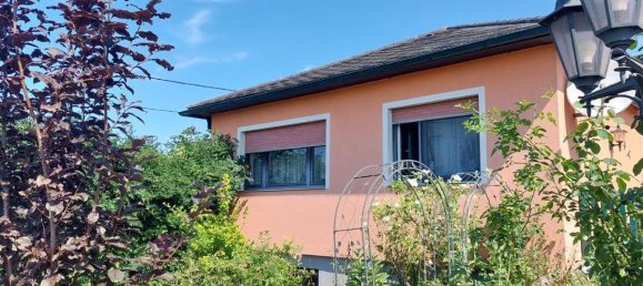 5 rooms Bungalow in Enzesfeld-Lindabrunn, Austria No. 132321 5
