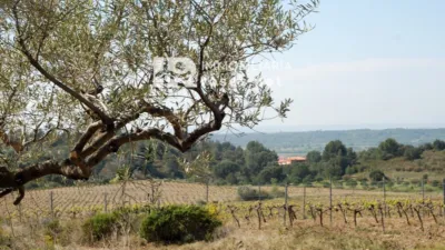 Terreno em Garriguella, Spain N.º 73549