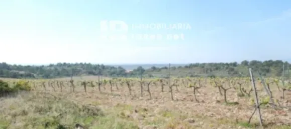 Terreno em Garriguella, Spain N.º 73549 23