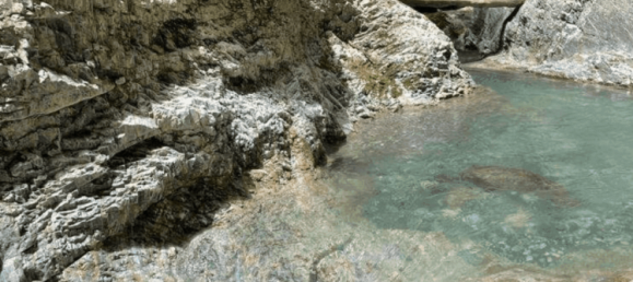 Grundstück in St. Stefan im Gailtal, Austria 7000m², Nr. 207870 4