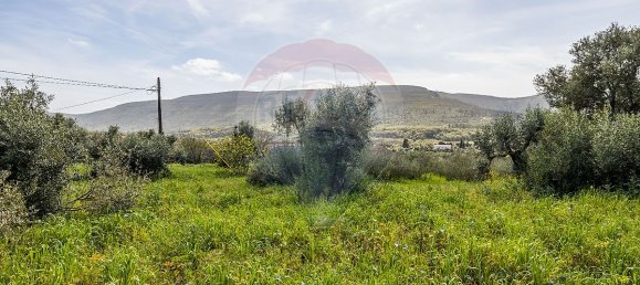 3 غرف نوم منزل في Porto de Mos, Portugal رقم 22860 15