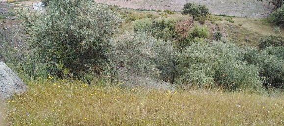 Casa de 3 dormitorios en Borba, Portugal No. 25276 10