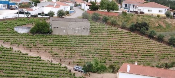 Casa de 3 dormitorios en Borba, Portugal No. 25276 12