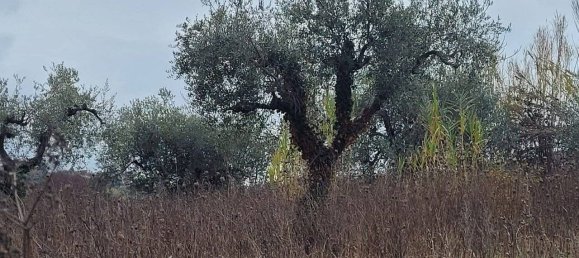 3 bedrooms House in Villamagna, Italy No. 294161 35